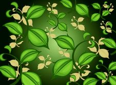 Green Leaf Pattern Stock Photography Green Leaf Pattern Stock Photography