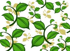 Green Leaf Pattern Royalty Free Stock Images Green Leaf Pattern Royalty Free Stock Images