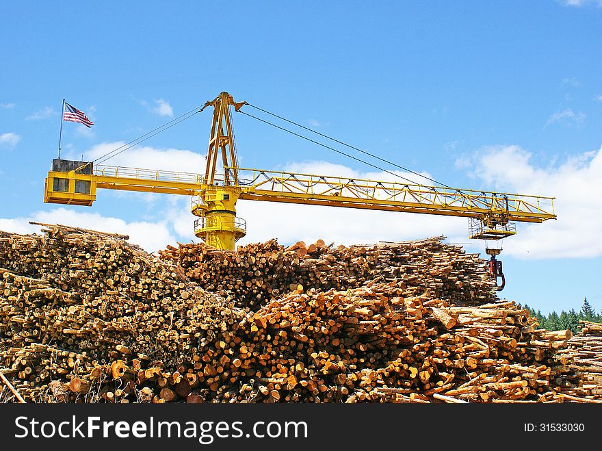 A pile of freshly cut logs stacked under a loading crane waiting to be shipped to their final destination. A pile of freshly cut logs stacked under a loading crane waiting to be shipped to their final destination.
