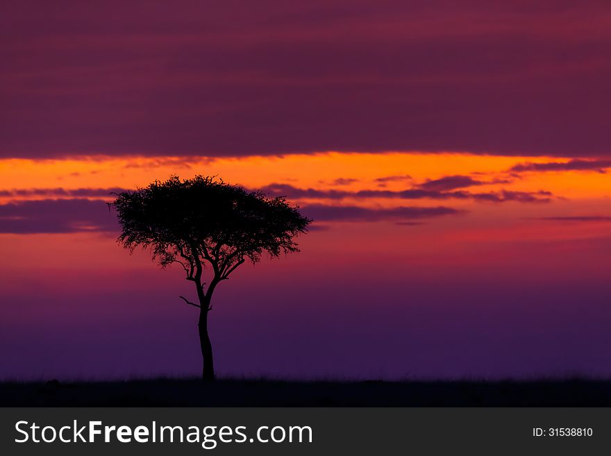 Sunrise In Masai Mara, Kenya