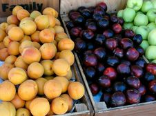 Summer Fruits Stock Image Summer Fruits Stock Image