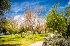 Public Park Stock Photo Public Park Stock Photo