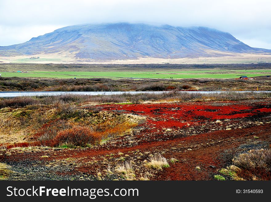 Real icelandic lendscape with a red ground. Real icelandic lendscape with a red ground