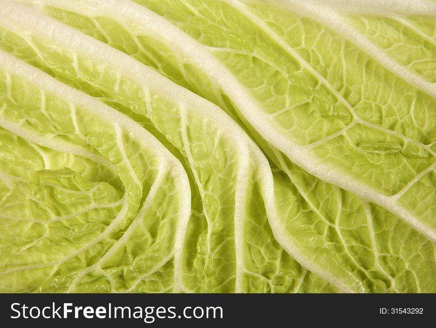 Macro view on a Chinese cabbage leaf.