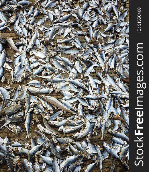 Drying fish for anchovies in the coastal areas in Indonesia
