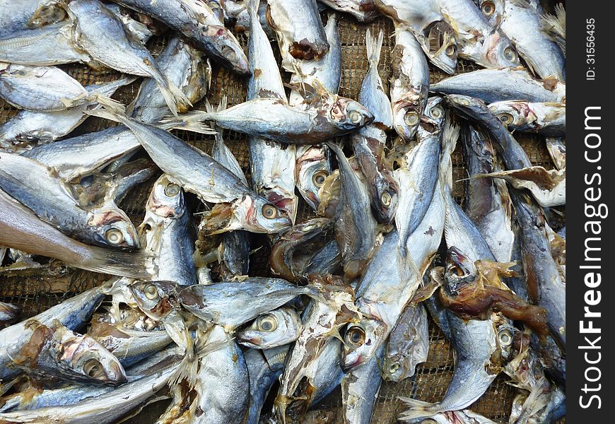 Drying fish for anchovies in the coastal areas in Indonesia