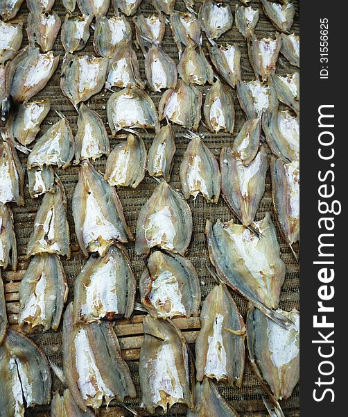 Drying Fish