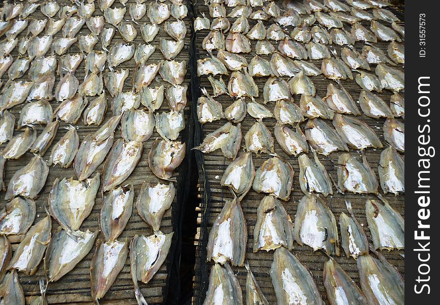 Drying fish for anchovies in the coastal areas in Indonesia