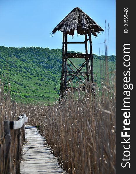 A Bird Observatory At Reed Reserve.