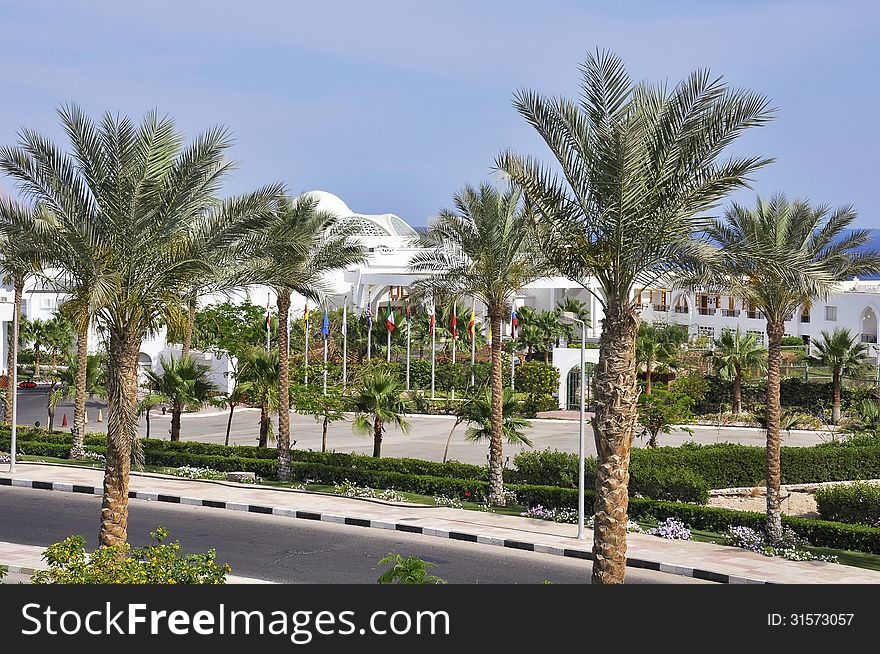 Resort area of Sharm El Sheikh, alley planted with palm trees and exotic plants. Resort area of Sharm El Sheikh, alley planted with palm trees and exotic plants