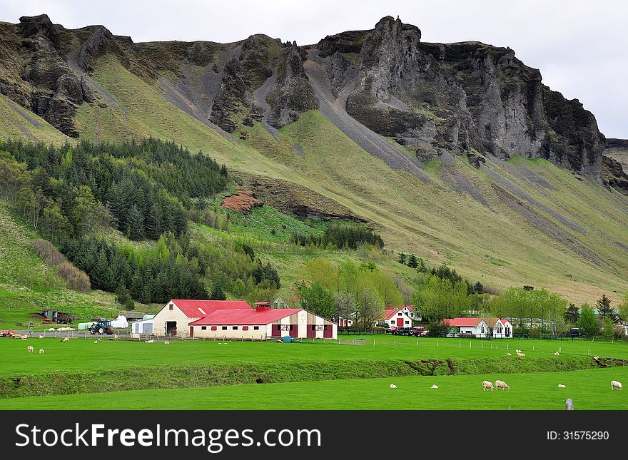 Classic farm in the east of Iceland. Classic farm in the east of Iceland