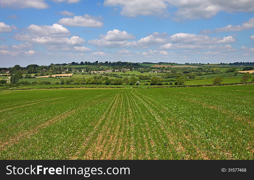 An English Summer Landscape with a Village on a Hill