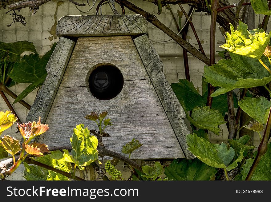 Birdhouse with a little bird inside