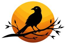 Bird Silhouette Perched On Sunset Branch Against White Background Royalty Free Stock Image