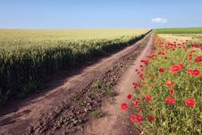 Dirt Road Through Cultivated Fields Royalty Free Stock Photo Dirt Road Through Cultivated Fields Royalty Free Stock Photo