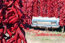 Drying Peppers In The Traditional Way Stock Images