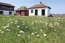Rural Household In The Field Of Daisies Royalty Free Stock Image Rural Household In The Field Of Daisies Royalty Free Stock Image