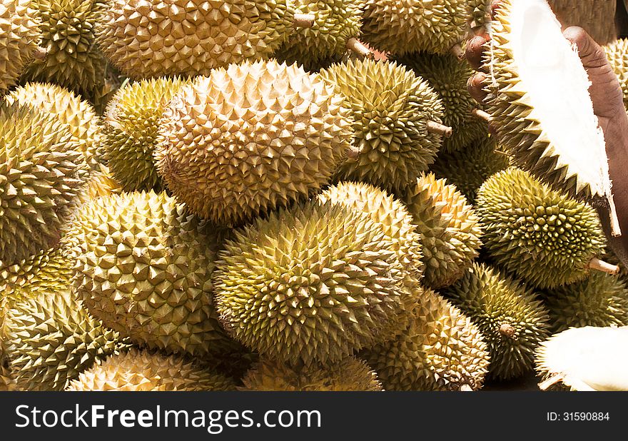 Durian and hand holding the cut fruit