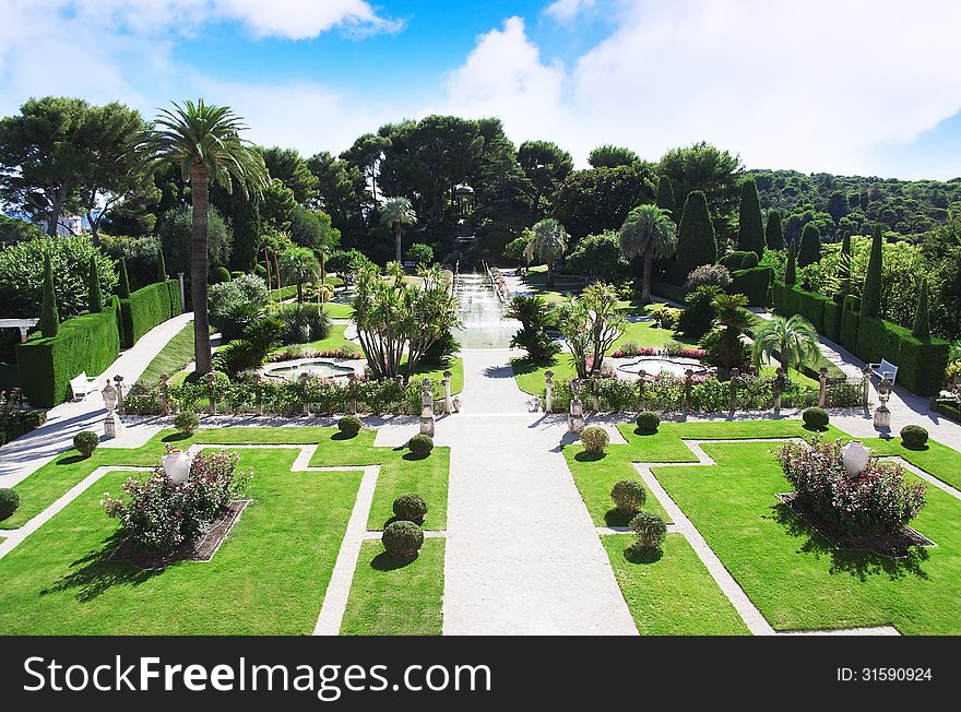 Lanscape of garden with ornamental bushes. Lanscape of garden with ornamental bushes