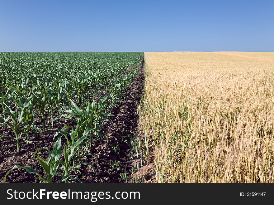 Proper geometry of agricultural fields. Proper geometry of agricultural fields.