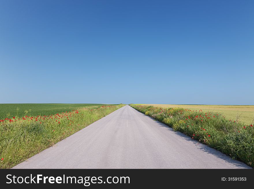 Empty Road Through Agricultural Land