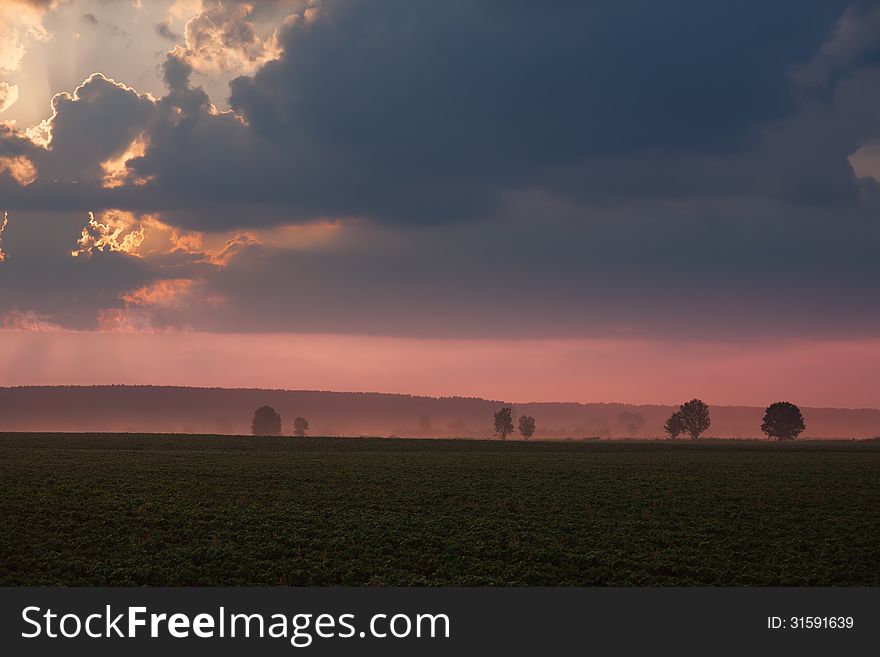 Foggy Morning On Agricultural Land