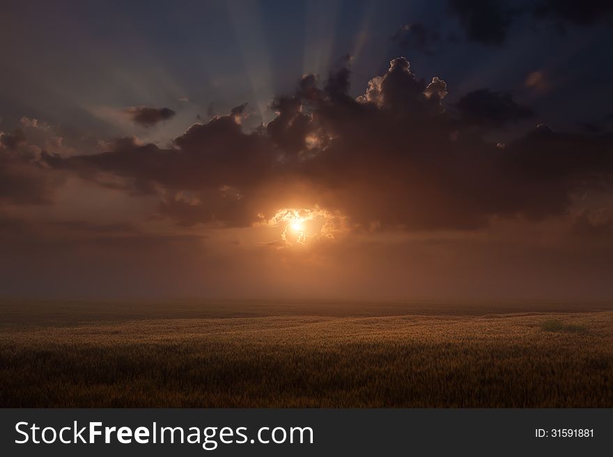Magical Rising Sun Over A Field Of Wheat