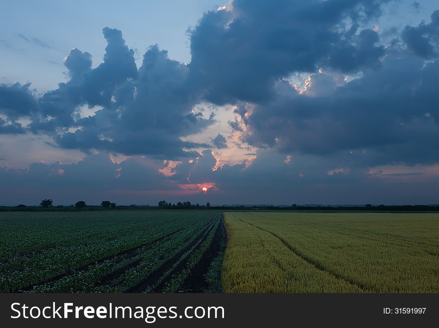 Rising Sun Over Agricultural Land