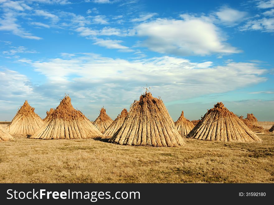 Stacks Of Cane In A Conical Shape.