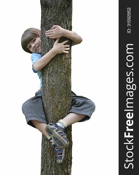 The boy threw his arms around a tree trunk and legs hanging on him and smiling. The boy threw his arms around a tree trunk and legs hanging on him and smiling.