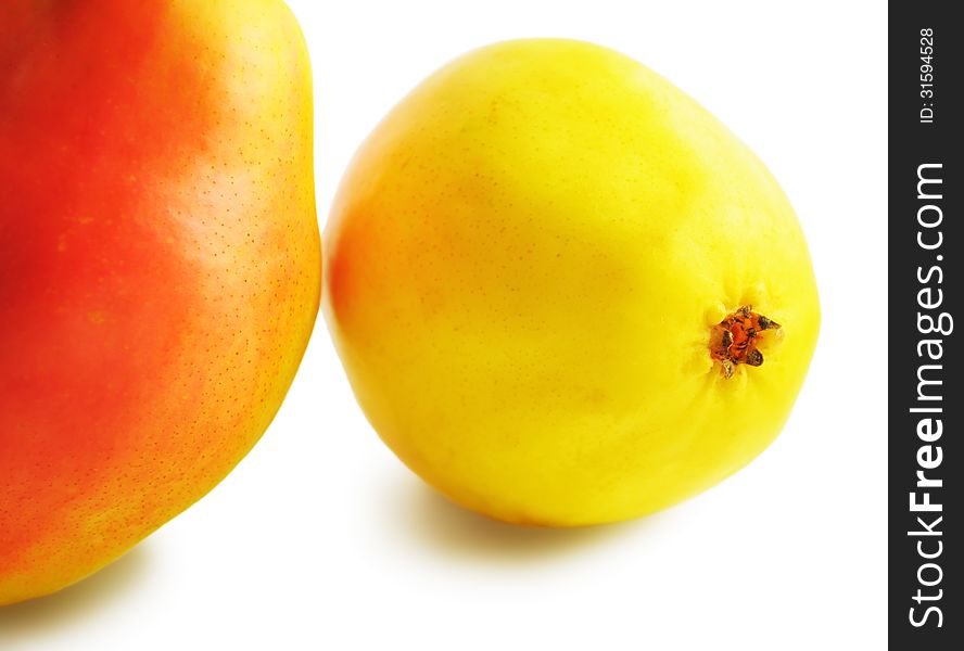 Two yellow-red sweet pears on a white background closeup. Two yellow-red sweet pears on a white background closeup