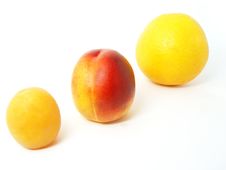 Apriocot Nectarine Orange Royalty Free Stock Photography