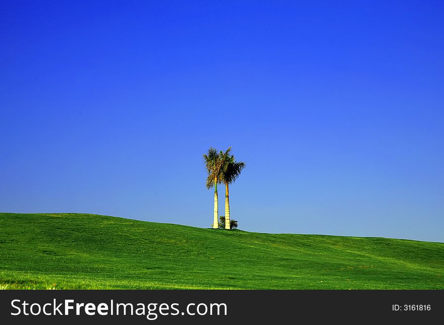 Beautiful view of green grass under blue sky in golf field
