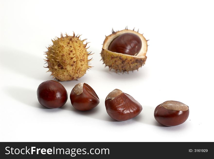 A group of chestnuts on background. A group of chestnuts on background