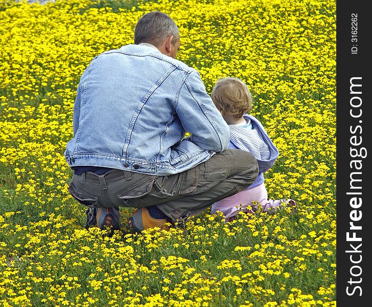 Father and daughter admiring wild flowers in a field. Father and daughter admiring wild flowers in a field.