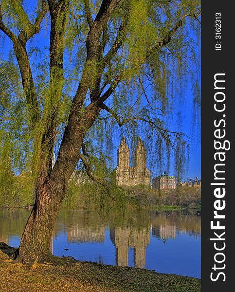 Spring in Central Park New York at the lake