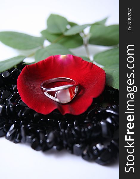 A white and red ring on a red rose petal with beads around. A white and red ring on a red rose petal with beads around