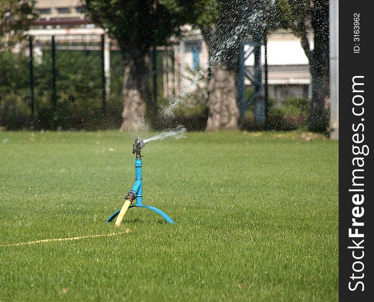 Grass to be flood by sprinkler