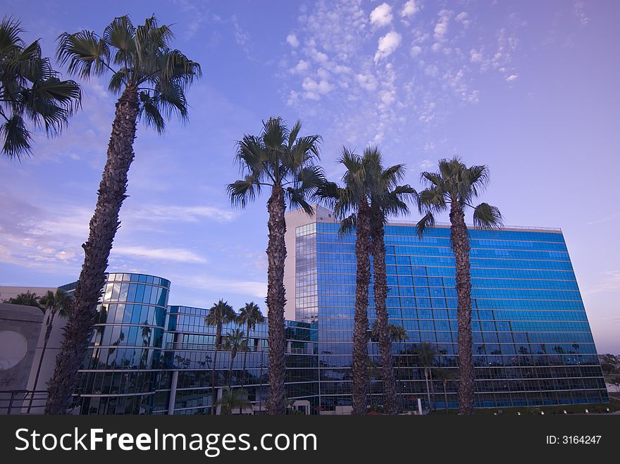 Glass building and palm trees lit by an evening sun. Glass building and palm trees lit by an evening sun.