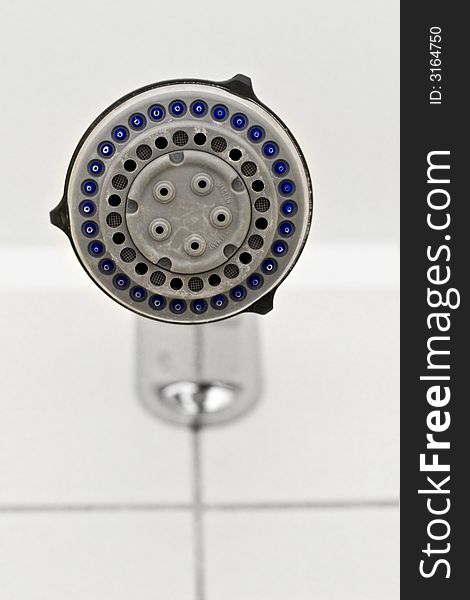A Calcified Shower Head