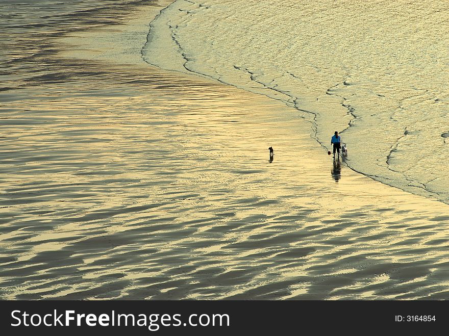 Woman and dogs at sunset