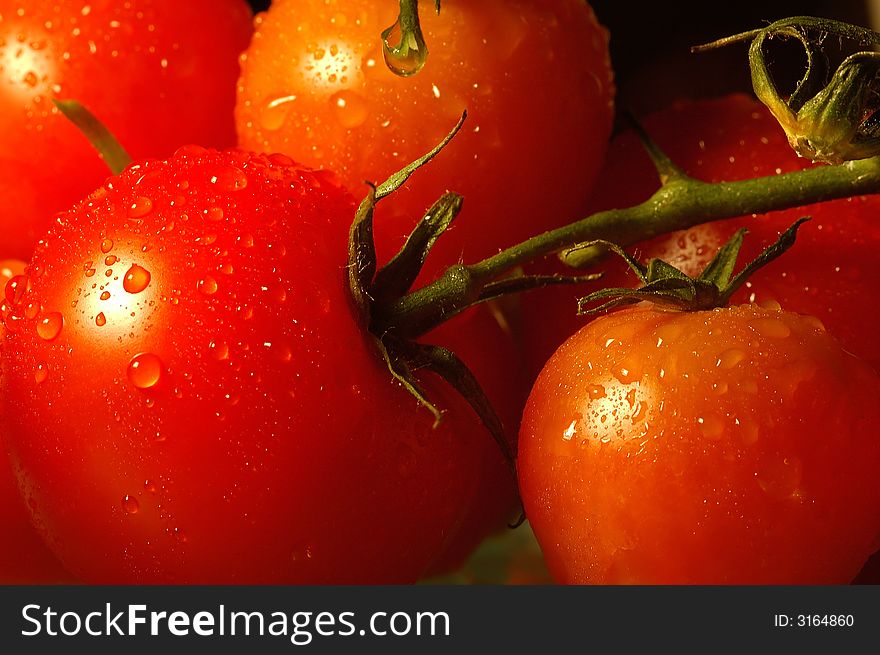 Tomatoes with pearls of water on the skin