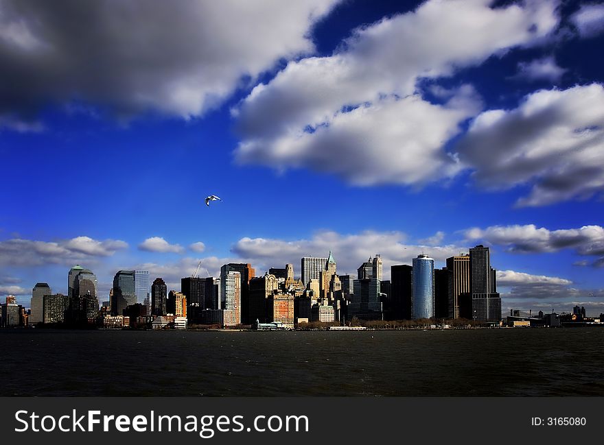 The financial district with a seagull. The financial district with a seagull