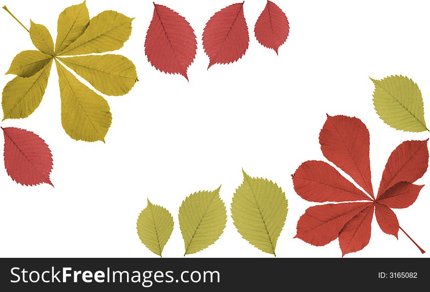 Original abstract autumn leaf frame. Original abstract autumn leaf frame