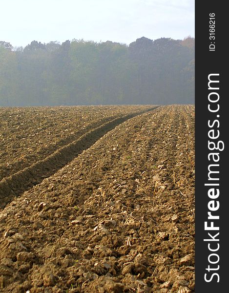 Agricultural field on a sunny autumn day. Agricultural field on a sunny autumn day.