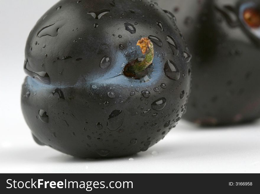 Dewy plums on the white background