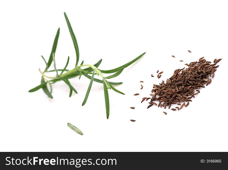 Rosemary, caraway on white background