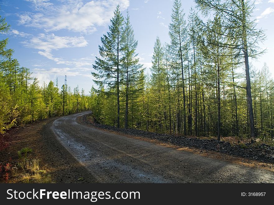Ground road in a Russian taiga