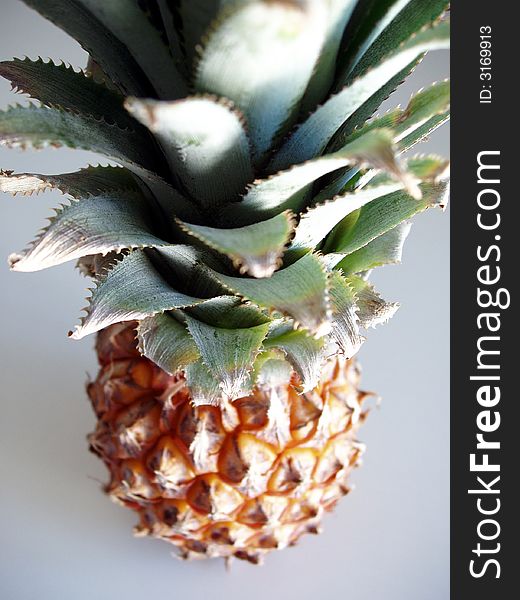 'Hero' photo of pineapple taken from a slightly elevated angle. 'Hero' photo of pineapple taken from a slightly elevated angle.