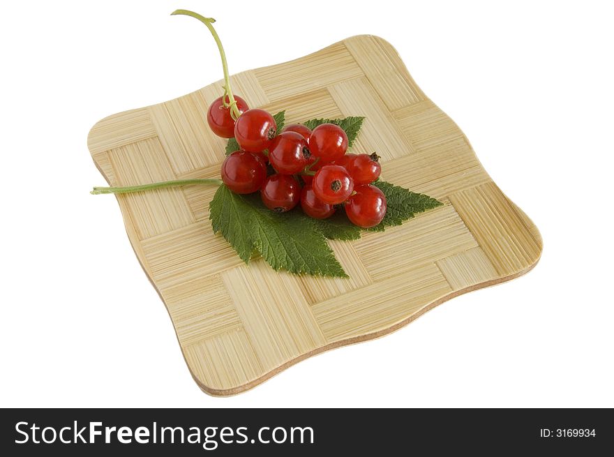 Red currant on stand isolated
